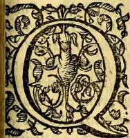 An illustration from Scola cordis. Sive aversi a deo cordis ad cumdem reductio, et instructio .. (1635)
