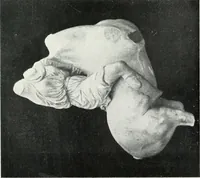 An illustration from Scopas et Praxitèle : la sculpture grecque au IVe siècle jusqu'au temps d'Alexandre (1907)