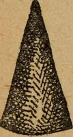 Picture 44 of 205 from Scotch Rite masonry illustrated : the complete ritual of the ancient and accepted Scottish Rite profusely illustrated (1905), leaf 219