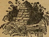 Picture 114 of 205 from Scotch Rite masonry illustrated : the complete ritual of the ancient and accepted Scottish Rite profusely illustrated (1905), leaf 510