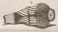 Picture 21 of 22 from Scotia illustrata sive Prodromus historiæ naturalis in quo regionis natura, incolarum ingenia & mores, morbi iisque medendi methodus, & medicina indigena accurratè explicantur ... (1684), leaf 385