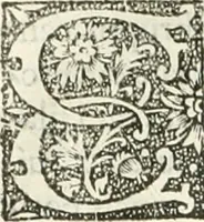 An illustration from Scotorum historiae a prima gentis origine : cum aliarum & rerum & gentium illustratione non vulgari : praemissa epistola nu[m]cupatoria, tabellisq[ue] amplissmis & non poenitenda isagoge quae ab huius terho explicabuntur diffusius (1526)