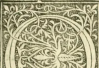 An illustration from Scotorum historiae a prima gentis origine : cum aliarum & rerum & gentium illustratione non vulgari : praemissa epistola nu[m]cupatoria, tabellisq[ue] amplissmis & non poenitenda isagoge quae ab huius terho explicabuntur diffusius (1526)