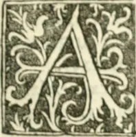 An illustration from Scotorum historiae a prima gentis origine : cum aliarum & rerum & gentium illustratione non vulgari : praemissa epistola nu[m]cupatoria, tabellisq[ue] amplissmis & non poenitenda isagoge quae ab huius terho explicabuntur diffusius (1526)