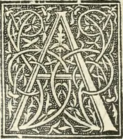 Picture 27 of 30 from Scotorum historiae a prima gentis origine : cum aliarum & rerum & gentium illustratione non vulgari : praemissa epistola nu[m]cupatoria, tabellisq[ue] amplissmis & non poenitenda isagoge quae ab huius terho explicabuntur diffusius (1526), leaf 737
