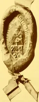 Picture 5 of 22 from Scottish armorial seals (1904), leaf 112