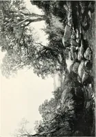 An illustration from The Scottish school of painting (1906)