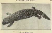 Picture 8 of 15 from Scouting for girls; official handbook of the Girl scouts (1920), leaf 453