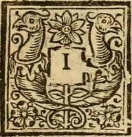 Picture 9 of 10 from A scribe, pharisee, hypocrite, and his letter answered, separates churched, dippers sprinkled : or, A vindication of the church and universities of England in many orthodox tenets & righteous practices .. (1657), leaf 568