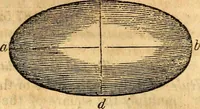 An illustration from Scribner's engineers' and mechanics' companion : comprising United States' weights and measures : mensuration of superficies and solids ... the mechanical powers ... steam and the steam engine (1848)