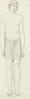 An illustration from Sculture del palazzo della Villa Borghese detta Pinciana (1796)