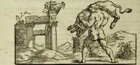 Picture 4 of 131 from Scvlptvræ veteris admiranda : sive, Delineatio vera perfectissimarvm eminentissimarvmqve statvarvm, unà cum artis hujus nobilissimæ theoria, serenissimo ac potentissimo principi ac domino, domino Carolo, comiti Palat. Rheni, S. Rom. imp. archith. & electori, Bavariæ duci, &c. &c. (1680), leaf 15