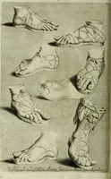 An illustration from Scvlptvræ veteris admiranda : sive, Delineatio vera perfectissimarvm eminentissimarvmqve statvarvm, unà cum artis hujus nobilissimæ theoria, serenissimo ac potentissimo principi ac domino, domino Carolo, comiti Palat. Rheni, S. Rom. imp. archith. & electori, Bavariæ duci, &c. &c. (1680)