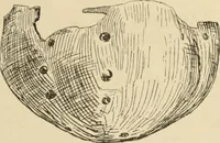 An illustration from Scythians and Greeks : a survey of ancient history and archaeology on the north coast of the Euxine from the Danube to the Caucasus (1913)