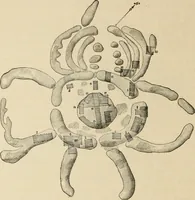 An illustration from Scythians and Greeks : a survey of ancient history and archaeology on the north coast of the Euxine from the Danube to the Caucasus (1913)