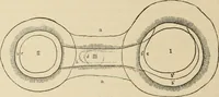 An illustration from Scythians and Greeks : a survey of ancient history and archaeology on the north coast of the Euxine from the Danube to the Caucasus (1913)