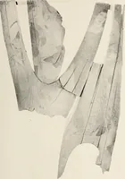 An illustration from Scythians and Greeks : a survey of ancient history and archaeology on the north coast of the Euxine from the Danube to the Caucasus (1913)