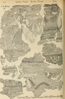 Picture 127 of 379 from Scythians and Greeks : a survey of ancient history and archaeology on the north coast of the Euxine from the Danube to the Caucasus (1913), leaf 269