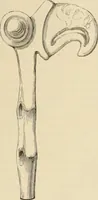 An illustration from Scythians and Greeks : a survey of ancient history and archaeology on the north coast of the Euxine from the Danube to the Caucasus (1913)