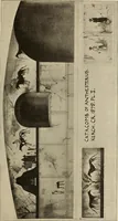 An illustration from Scythians and Greeks : a survey of ancient history and archaeology on the north coast of the Euxine from the Danube to the Caucasus (1913)