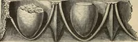 An illustration from Scythians and Greeks : a survey of ancient history and archaeology on the north coast of the Euxine from the Danube to the Caucasus (1913)