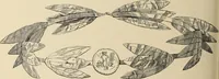 An illustration from Scythians and Greeks : a survey of ancient history and archaeology on the north coast of the Euxine from the Danube to the Caucasus (1913)