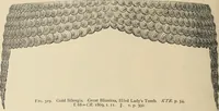 Picture 317 of 379 from Scythians and Greeks : a survey of ancient history and archaeology on the north coast of the Euxine from the Danube to the Caucasus (1913), leaf 485
