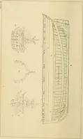An illustration from The seaman's friend; containing a treatise on practical seamanship .. (1851)