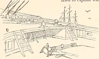An illustration from The seashore book : Bob and Betty's summer with Captain Hawes (1912)