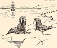 An illustration from The seashore book : Bob and Betty's summer with Captain Hawes (1912)