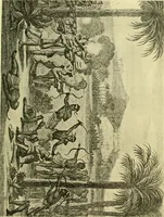 An illustration from The sea trader, his friends and enemies (1912)