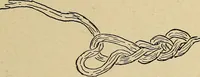 An illustration from Seat work and industrial occupations; a practical course for primary grades (1905)