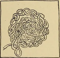 An illustration from Seat work and industrial occupations; a practical course for primary grades (1905)