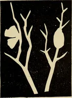 An illustration from Seat work and industrial occupations; a practical course for primary grades (1905)