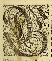 An illustration from Sechster Theil der Orientalischen Indien, Warhafftige historische Bechreibung dess gewaltigen Goltreichen Königreichs Guinea, sonst das Goltgestatt von Mina genandt, so in Africa gelegen, : sampst derselben gantzen Beschaffenheit, auch Religion vnnd Opinion, Sitten vnd Sprachen, Handel vnd Wandel der Eywohner daselbst, beneben einer kurtzen Erzelung, was die Schiffe, so dahin fahren wollen, für einen Lauff durch die Canarische Inseln, biss an das Cabo de Trespunctas, da das Goltgestatt sich anfänget, halten müssen. (1603)