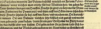 An illustration from Sechster Theil der Orientalischen Indien, Warhafftige historische Bechreibung dess gewaltigen Goltreichen Königreichs Guinea, sonst das Goltgestatt von Mina genandt, so in Africa gelegen, : sampst derselben gantzen Beschaffenheit, auch Religion vnnd Opinion, Sitten vnd Sprachen, Handel vnd Wandel der Eywohner daselbst, beneben einer kurtzen Erzelung, was die Schiffe, so dahin fahren wollen, für einen Lauff durch die Canarische Inseln, biss an das Cabo de Trespunctas, da das Goltgestatt sich anfänget, halten müssen. (1603)
