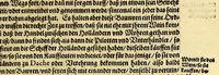 An illustration from Sechster Theil der Orientalischen Indien, Warhafftige historische Bechreibung dess gewaltigen Goltreichen Königreichs Guinea, sonst das Goltgestatt von Mina genandt, so in Africa gelegen, : sampst derselben gantzen Beschaffenheit, auch Religion vnnd Opinion, Sitten vnd Sprachen, Handel vnd Wandel der Eywohner daselbst, beneben einer kurtzen Erzelung, was die Schiffe, so dahin fahren wollen, für einen Lauff durch die Canarische Inseln, biss an das Cabo de Trespunctas, da das Goltgestatt sich anfänget, halten müssen. (1603)