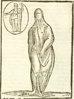 Picture 52 of 314 from Seconda nouissima editione delle Imagini de gli dei delli antichi di Vicenzo Cartari reggiano : ridotte da capo a piedi alle loro reali, & non più per l'adietro osseruate simiglianze : cauate da' marmi, bronzi, medaglie, gioie, & altre memorie antiche : con esquisito studio, & particolare diligenza (1626), leaf 132