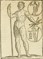 Picture 71 of 314 from Seconda nouissima editione delle Imagini de gli dei delli antichi di Vicenzo Cartari reggiano : ridotte da capo a piedi alle loro reali, & non più per l'adietro osseruate simiglianze : cauate da' marmi, bronzi, medaglie, gioie, & altre memorie antiche : con esquisito studio, & particolare diligenza (1626), leaf 177