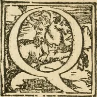 Picture 79 of 314 from Seconda nouissima editione delle Imagini de gli dei delli antichi di Vicenzo Cartari reggiano : ridotte da capo a piedi alle loro reali, & non più per l'adietro osseruate simiglianze : cauate da' marmi, bronzi, medaglie, gioie, & altre memorie antiche : con esquisito studio, & particolare diligenza (1626), leaf 189