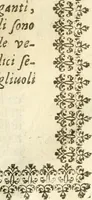 An illustration from Seconda nouissima editione delle Imagini de gli dei delli antichi di Vicenzo Cartari reggiano : ridotte da capo a piedi alle loro reali, & non più per l'adietro osseruate simiglianze : cauate da' marmi, bronzi, medaglie, gioie, & altre memorie antiche : con esquisito studio, & particolare diligenza (1626)