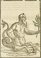Picture 99 of 314 from Seconda nouissima editione delle Imagini de gli dei delli antichi di Vicenzo Cartari reggiano : ridotte da capo a piedi alle loro reali, & non più per l'adietro osseruate simiglianze : cauate da' marmi, bronzi, medaglie, gioie, & altre memorie antiche : con esquisito studio, & particolare diligenza (1626), leaf 241