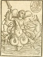 Picture 102 of 314 from Seconda nouissima editione delle Imagini de gli dei delli antichi di Vicenzo Cartari reggiano : ridotte da capo a piedi alle loro reali, & non più per l'adietro osseruate simiglianze : cauate da' marmi, bronzi, medaglie, gioie, & altre memorie antiche : con esquisito studio, & particolare diligenza (1626), leaf 248