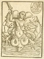 Picture 103 of 314 from Seconda nouissima editione delle Imagini de gli dei delli antichi di Vicenzo Cartari reggiano : ridotte da capo a piedi alle loro reali, & non più per l'adietro osseruate simiglianze : cauate da' marmi, bronzi, medaglie, gioie, & altre memorie antiche : con esquisito studio, & particolare diligenza (1626), leaf 249