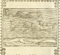 Picture 106 of 314 from Seconda nouissima editione delle Imagini de gli dei delli antichi di Vicenzo Cartari reggiano : ridotte da capo a piedi alle loro reali, & non più per l'adietro osseruate simiglianze : cauate da' marmi, bronzi, medaglie, gioie, & altre memorie antiche : con esquisito studio, & particolare diligenza (1626), leaf 256