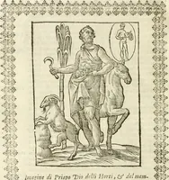 Picture 166 of 314 from Seconda nouissima editione delle Imagini de gli dei delli antichi di Vicenzo Cartari reggiano : ridotte da capo a piedi alle loro reali, & non più per l'adietro osseruate simiglianze : cauate da' marmi, bronzi, medaglie, gioie, & altre memorie antiche : con esquisito studio, & particolare diligenza (1626), leaf 403
