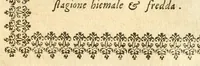 Picture 202 of 314 from Seconda nouissima editione delle Imagini de gli dei delli antichi di Vicenzo Cartari reggiano : ridotte da capo a piedi alle loro reali, & non più per l'adietro osseruate simiglianze : cauate da' marmi, bronzi, medaglie, gioie, & altre memorie antiche : con esquisito studio, & particolare diligenza (1626), leaf 487
