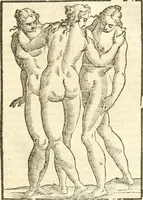 Picture 205 of 314 from Seconda nouissima editione delle Imagini de gli dei delli antichi di Vicenzo Cartari reggiano : ridotte da capo a piedi alle loro reali, & non più per l'adietro osseruate simiglianze : cauate da' marmi, bronzi, medaglie, gioie, & altre memorie antiche : con esquisito studio, & particolare diligenza (1626), leaf 494