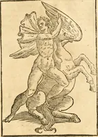 Picture 231 of 314 from Seconda nouissima editione delle Imagini de gli dei delli antichi di Vicenzo Cartari reggiano : ridotte da capo a piedi alle loro reali, & non più per l'adietro osseruate simiglianze : cauate da' marmi, bronzi, medaglie, gioie, & altre memorie antiche : con esquisito studio, & particolare diligenza (1626), leaf 536