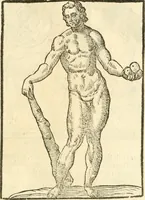 Picture 236 of 314 from Seconda nouissima editione delle Imagini de gli dei delli antichi di Vicenzo Cartari reggiano : ridotte da capo a piedi alle loro reali, & non più per l'adietro osseruate simiglianze : cauate da' marmi, bronzi, medaglie, gioie, & altre memorie antiche : con esquisito studio, & particolare diligenza (1626), leaf 542